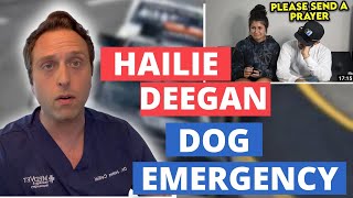 Vet Reacts  Hailie Deegan Describes Her Dogs Seizure Emergency [upl. by Satterlee]