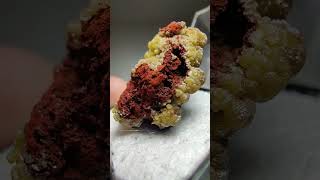 Mimetite and Limonite Chihuahua Mexico [upl. by Jeffrey]