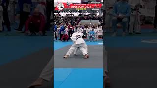 Adler Cup 2024  Highlights adlercup frankfurt judo 24 [upl. by Agarhs156]