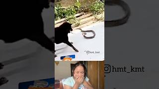 Dudh ya jahar😂 meme funny reactionvideo comedy trending funnymemes reactionvideo reaction [upl. by Bibah]