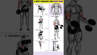 6 Best Biceps Workout For Bicep Peak💪 workout bicepsworkout [upl. by Benjie]