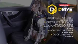 EZYDOG Drive Harness  全方位方護胸背帶 [upl. by Cecilio]