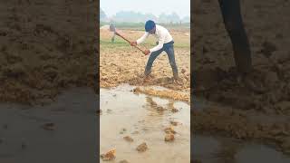 Sabse Nik bate saiyan kisani new farmer song sawan kisan rice crop ytshorts [upl. by Dukey146]