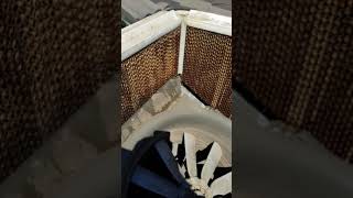 Cool Breeze evaporative cooler water pump faulty part 3 [upl. by Langelo]