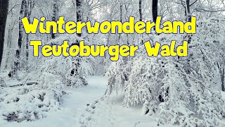 Winterwonderland Teutoburger Wald  Hermannshöhen [upl. by Schouten419]