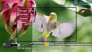 HiMedia Q5 Pro Profile 1080P [upl. by Dora]