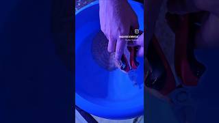 STINGRAY BARB REMOVAL  MY STINGRAY GOT CAUGHT IN A NET Stingray monsterfish aquariums aquatics [upl. by Yelsnit]