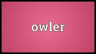 Owler Meaning [upl. by Aerahs]