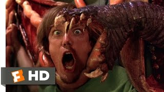 Scooby Doo 2 Monsters Unleashed 710 Movie CLIP  Fred and Daphne Fight Back 2004 HD [upl. by Eclud424]