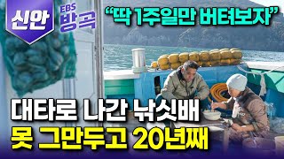 전남 신안 갑자기 못 나온다는 선원 빈자리 채우려 딱 1주일만 해보자 낚싯배 타길 20년 요리부터 선박 운전까지 못하는 것 없는 낚시꾼 아내｜가거도｜한국기행 방방곡곡 [upl. by Nacnud518]