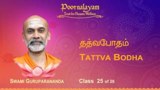 TB 25 Tattva Bodha [upl. by Teage]