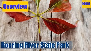 Roaring River State Park Overview [upl. by Nylzzaj821]