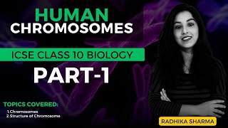 Human Chromosomes  ICSE CLASS 10 Biology  Part1 [upl. by Henryetta]