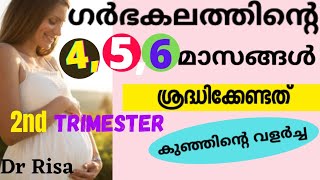 Pregnanacy Care for Second Trimester Malayalam  46 Month of Pregnancy  Pregnancy Care Tips [upl. by Ahsemal665]