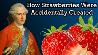 The Unbelievable History of Strawberries [upl. by Fisuoy]