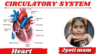 CIRCULATORY SYSTEM  SCIENCE  JYOTI MAM  Shree Manak Coaching Classes is live [upl. by Stanwood]