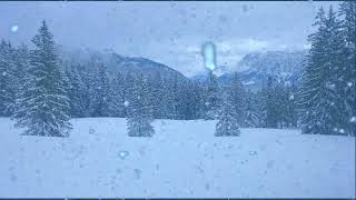 Bufera di neve suono rilassante del vento artico  Suoni naturali rilassanti e per dormire ASMR [upl. by Sofie513]