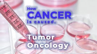 Cancer  Oncology  Oncogene  Tumor suppressor gene  Malignant tumor  Metastasis [upl. by Hcurob]