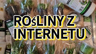 Zamówiłem rośliny przez internet [upl. by Nepets717]