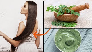 How to Make Your Hair GROW FASTER With MORINGA POWDER [upl. by Vincentia]