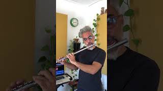 Armandos Rhumba · Chick Corea solo transcription on flute [upl. by Elbon]