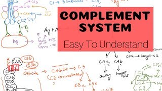 Complement System OR Complement Pathways  Easy to Understand [upl. by Rebel]