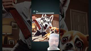 Chihuahua Pranks Dad memes [upl. by Anihsat]