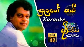 Sulage Pavi  සුලගේ පාවී  Miltan Mallawarachchi  Karaoke karaokesongs [upl. by Gavriella]