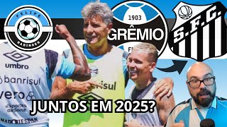 SANTOS PROCURA RENATO PORTALUPPI  SOTELDO SAIRÁ DO GRÊMIO [upl. by Annek]