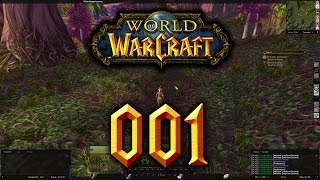 WoW 001  Beginn der Jägerausbildung  Lets Play World of Warcraft HD 60fps Deutsch [upl. by Ahsik]