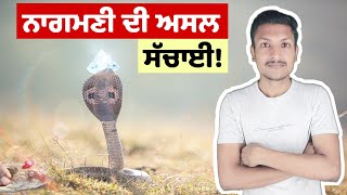 ਨਾਗਮਣੀ ਦਾ ਅਸਲੀ ਸੱਚ Is Naagmani Real or Fake  Reality Of Naagmani By Punjab Talkz [upl. by Regina]