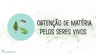 Obtenção de matéria pelos seres vivos  Biologia e Geologia 10ºano [upl. by Omer356]