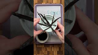 Triple Vanilla Cake  When to Use Vanilla Extract vs Beans vs Paste baking [upl. by Llerrom53]