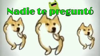 🐶Perritos bailando Nadie te preguntó🐶 [upl. by Hnirt]