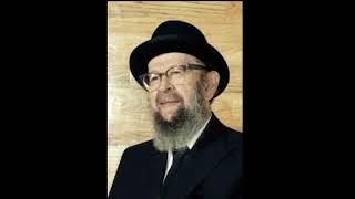 Rav avigdor Miller the antipolllutionists are fakers and insincere mimicking the NY Times [upl. by Koralie7]