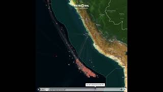 La Flota de Calamar Extranjera ha culminado su migración nortesur [upl. by Tada]