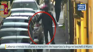 L’alleanza criminale tra albanesi e marocchini che trasportavano la droga nei boschetti di Milano [upl. by Aener523]