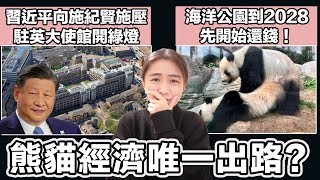 海洋公園到2028 先開始還錢！？熊貓經濟唯一出路｜習近平向施紀賢施壓 駐英大使館開綠燈！｜張子君 英式早餐 20241129 [upl. by Leibrag852]