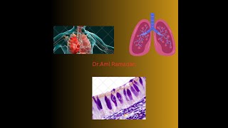 Trachea Bronchi and Bronchioles [upl. by Stewardson]