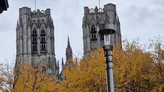 St Michael amp St Gudula Cathedral Church bells  Cathédrale Saints Michel et Gudule [upl. by Lotta]