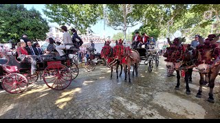 PASEO DE CABALLOS FERIA DE SEVILLA 2024 [upl. by Xyla]