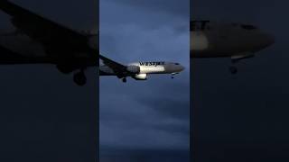 Westjet B737 MAX 8 Landing in MBJ shorts aviation planespotting subscribe [upl. by Spearing775]