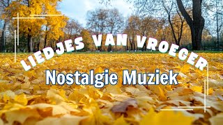 Oude Nederlandse Liedjes 🍁 Hollandse Liedjes 🍁 Meest Beluisterde Muziek Uit Nederland [upl. by Ear]