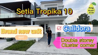 （Johor Bahru Property 新山房地产ep32 Setia Tropika Calidora Corner‼️15分钟到Woodland‼️Shirley房产好介绍‼️ [upl. by Senaj]