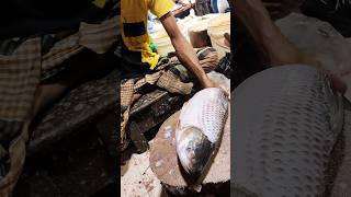 Superhit Fish Cutting Skills  Big Rohu Fish Cutting By Bangladeshi Cutter Manshorts [upl. by Ylrebmek527]