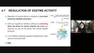 BIO091 Week 8  Chapter 4 Enzymes Part 2 [upl. by Nairrad]