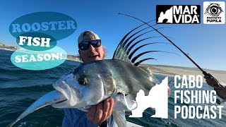 Cabo Fishing Podcast  S2 E8  quotRooster Fish Season Opener Expert Tips and Nature Explorationquot [upl. by Firestone539]