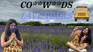 A day at the lavender farm in UK [upl. by Yrtua]