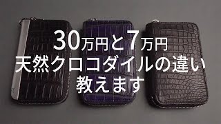 ITTIのクロコダイル財布なぜ安い！？プロが解説します [upl. by Thurmond]