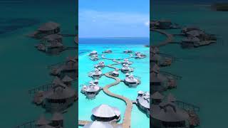 The INCREDIBLE overwater villas from Soneva Jani Maldives 😍🏝️ maldives sonevajani shorts [upl. by Einafit287]